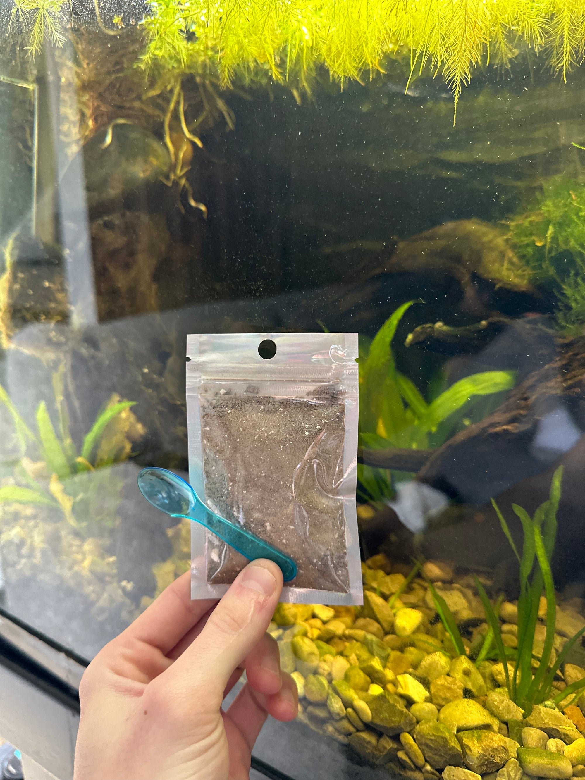 AQUA XEN NUTRITION SNAIL & SHRIMP FEED
